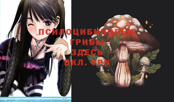 соль ск Алексин