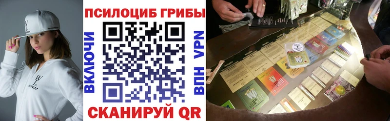 наркота  Гаврилов Посад  Псилоцибиновые грибы Cubensis 